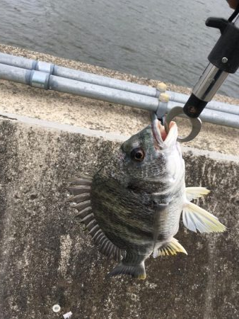 家族で投げ釣り