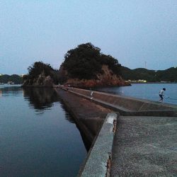 犬走堤防　ロックフィッシュゲーム