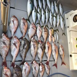 EBISUで大鯛とブリゲット