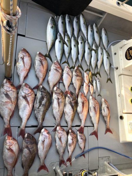 EBISUで大鯛とブリゲット