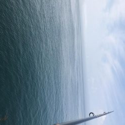 本命ではないですが