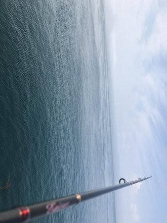 本命ではないですが