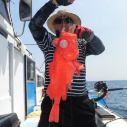 土佐安芸のハマちゃん