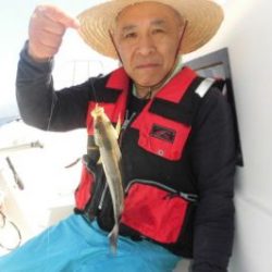土佐安芸のハマちゃんの釣果