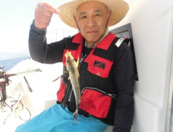 土佐安芸のハマちゃんの釣果