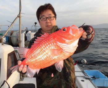 土佐安芸のハマちゃんの釣果