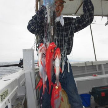 土佐安芸のハマちゃんの釣果