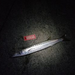 宮古島　平良港にてライトゲーム