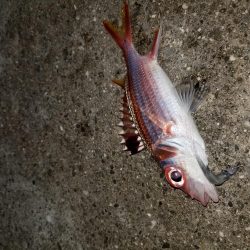 荷取川漁港　宮古島