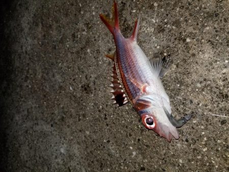 荷取川漁港　宮古島