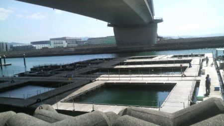 シマアジ・青物好調