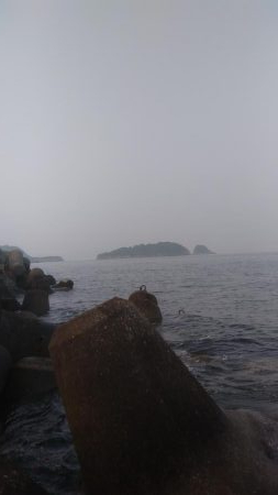 青物シーズン開幕❓