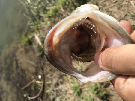 津風呂バス！！