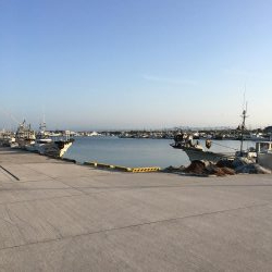 メバリングとガシリング