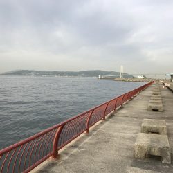 今日は、小物ばかり。