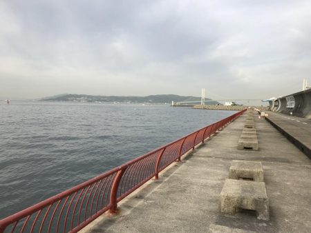 今日は、小物ばかり。