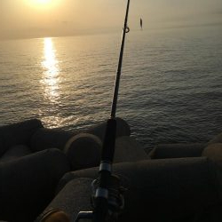 タチウオリベンジ