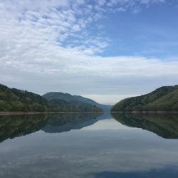 絶滅してなかった！