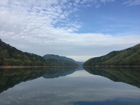 絶滅してなかった！