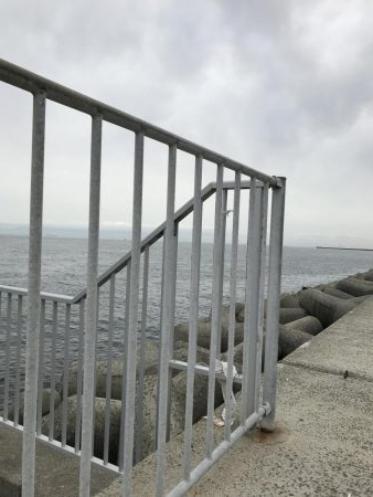 貝塚人工島のアジ