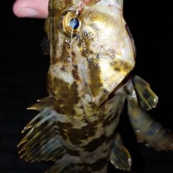 神戸港ランガン