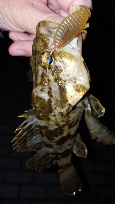 神戸港ランガン