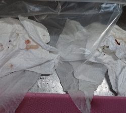 ついに釣れた！が、まさかの…