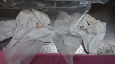 ついに釣れた！が、まさかの…