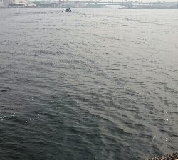 ハプニング後にシーバス