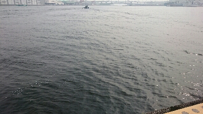 ハプニング後にシーバス