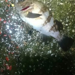 雨風に負けず！