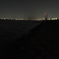 淀川ブリームゲーム 爆釣