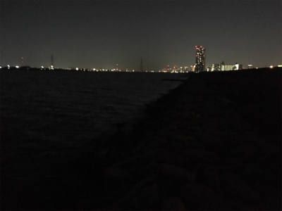 淀川ブリームゲーム 爆釣