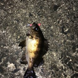 小分けに移動しながら(笑)。