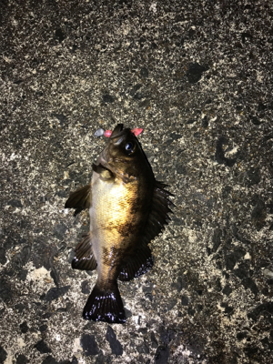 小分けに移動しながら(笑)。