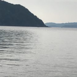 エソのヌシ降臨