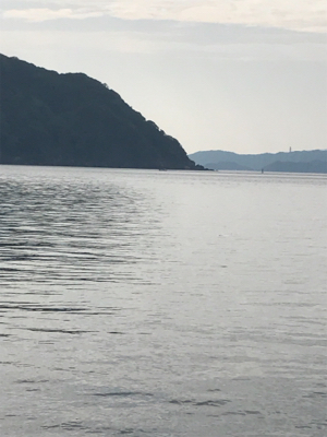 エソのヌシ降臨