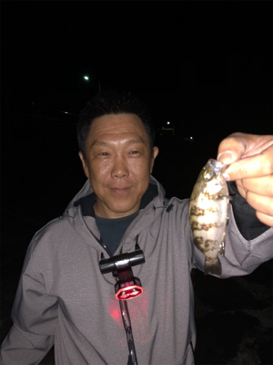 プラッキング☆GUNNING-STYLE釣行☆