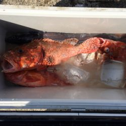 外道！！外道！！外道！！