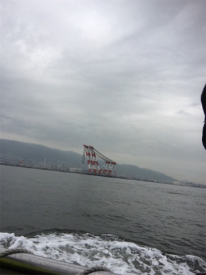 青物の気配は‥