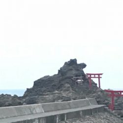 柏崎 笠島港 フカセ フグだらけ