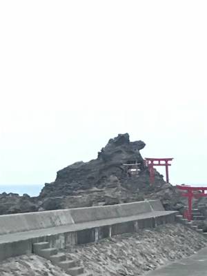 柏崎 笠島港 フカセ フグだらけ