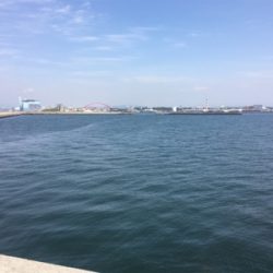 タチウオリベンジ