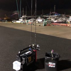 明石メバリング