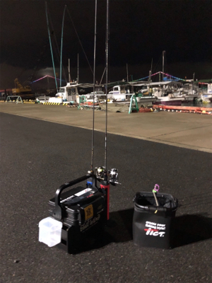 明石メバリング