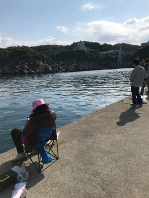 カタクチイワシ