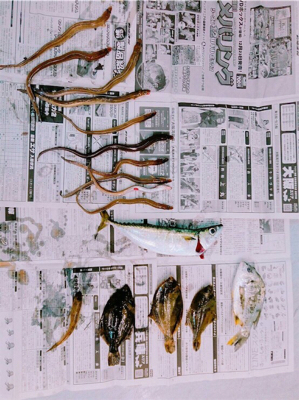 チョイ投げ五目