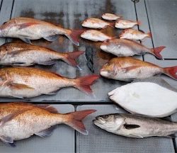 ディープタイラバ