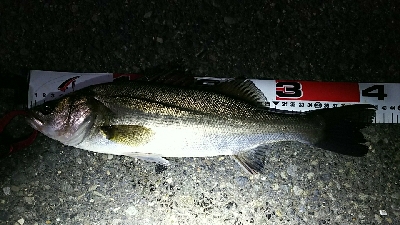 短時間の連チャン