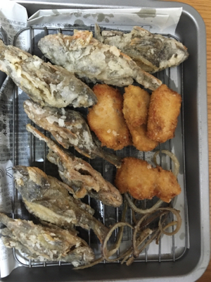 ショアジギなのに。